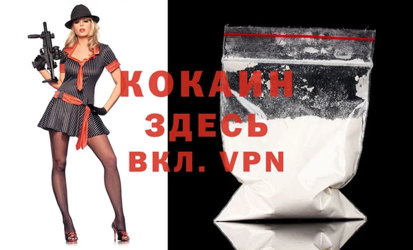 хмурый Абаза