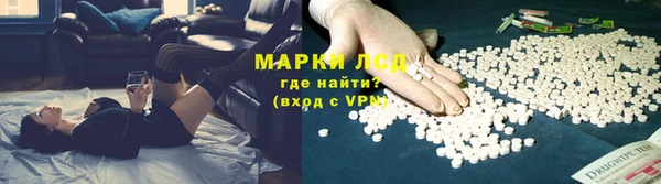 хмурый Абаза