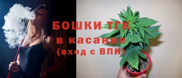хмурый Абаза