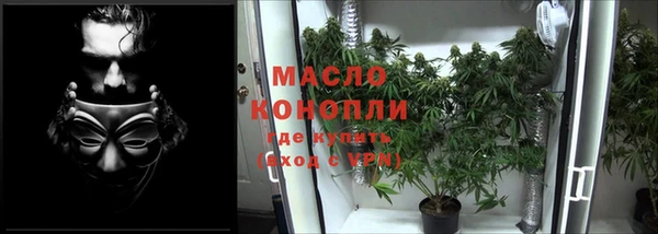 амф Пестово