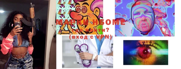 хмурый Абаза