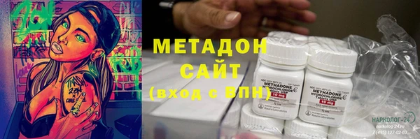прущие грибы Пересвет