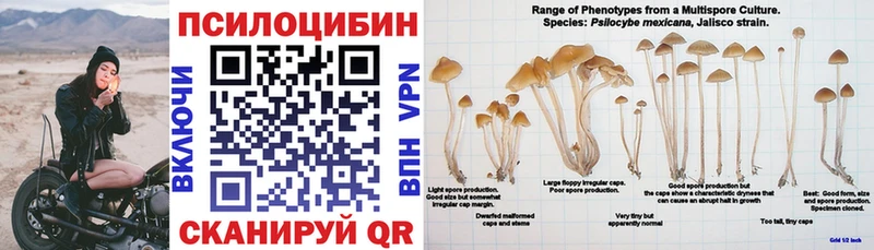 Галлюциногенные грибы Cubensis  хочу   Княгинино 