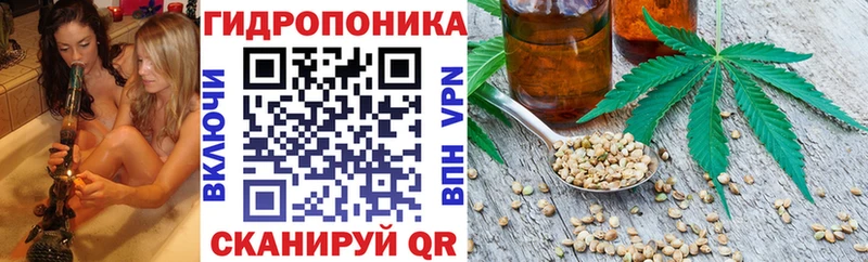 Каннабис OG Kush  Княгинино 